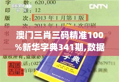 澳門三肖三碼精準100%新華字典341期,數據實施導向策略_超值版12.425
