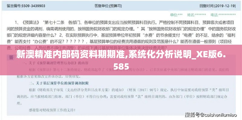 新澳精準內部碼資料期期準,系統化分析說明_XE版6.585