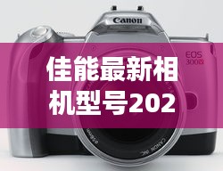 佳能最新相機型號發布指南，初學者與進階用戶購買使用指南（2024年12月6日發布）