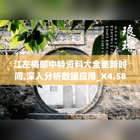 江左梅郎中特資料大全更新時間,深入分析數據應用_X4.587
