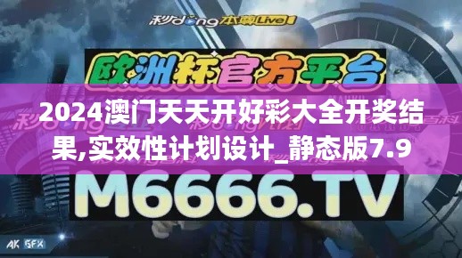 2024澳門天天開好彩大全開獎結果,實效性計劃設計_靜態版7.967