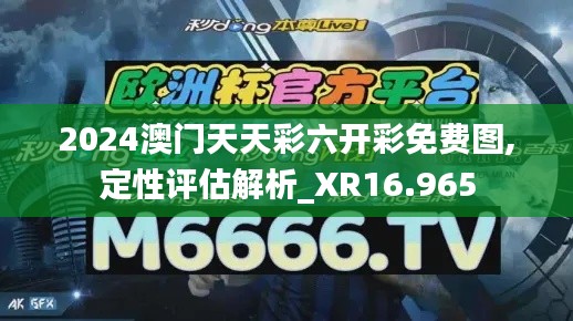 2024澳門天天彩六開彩免費圖,定性評估解析_XR16.965