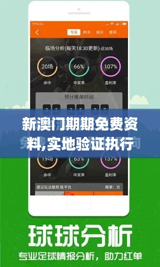 新澳門期期免費資料,實地驗證執行數據_超值版3.341