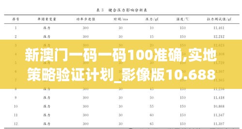 新澳門一碼一碼100準(zhǔn)確,實(shí)地策略驗(yàn)證計(jì)劃_影像版10.688