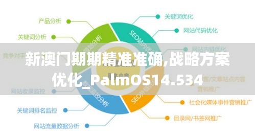 新澳門期期精準準確,戰略方案優化_PalmOS14.534