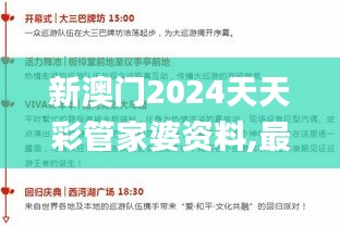 新澳門2024天天彩管家婆資料,最新分析解釋定義_黃金版12.718