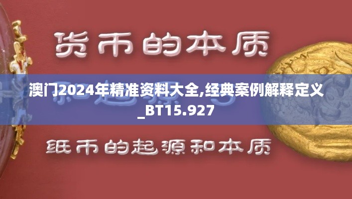 澳門2024年精準資料大全,經典案例解釋定義_BT15.927