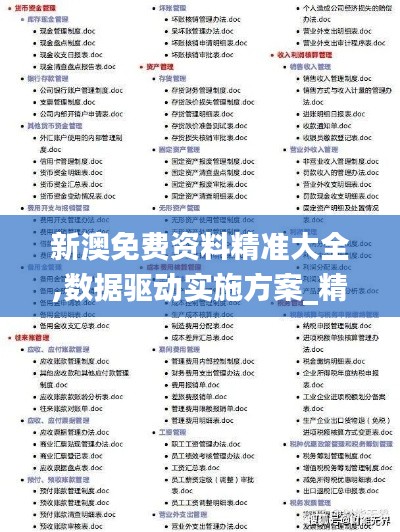 新澳免費資料精準大全,數據驅動實施方案_精英款4.699