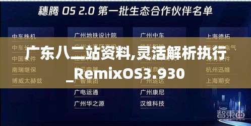 廣東八二站資料,靈活解析執(zhí)行_RemixOS3.930