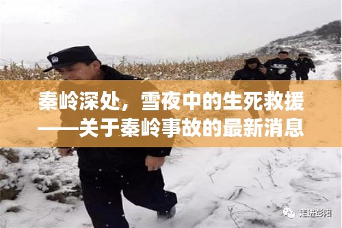 秦嶺深處雪夜生死救援，最新事故深度報道