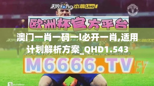 澳門一肖一碼一l必開一肖,適用計劃解析方案_QHD1.543