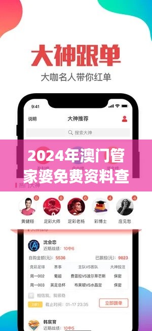 2024年澳門管家婆免費資料查詢,實用性執行策略講解_6DM3.654