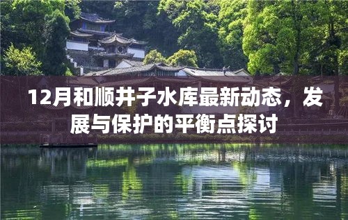 和順井子水庫(kù)最新動(dòng)態(tài)，探討發(fā)展與保護(hù)的平衡點(diǎn)（12月更新）