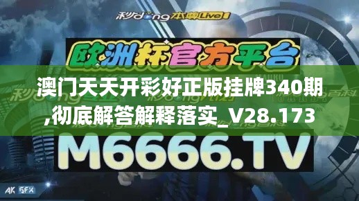 澳門天天開彩好正版掛牌340期,徹底解答解釋落實_V28.173