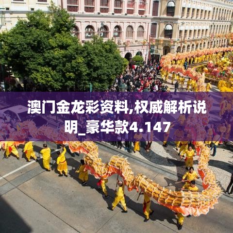 澳門金龍彩資料,權威解析說明_豪華款4.147