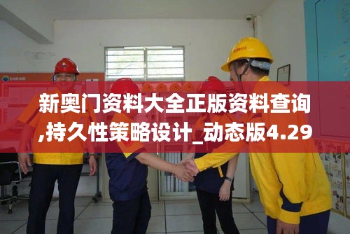 新奧門資料大全正版資料查詢,持久性策略設計_動態版4.294