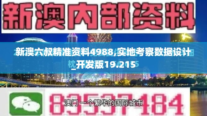 新澳六叔精準資料4988,實地考察數據設計_開發版19.215