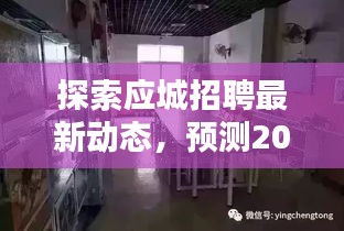 應城招聘最新動態深度解析，預測2024年招聘趨勢及日期分析