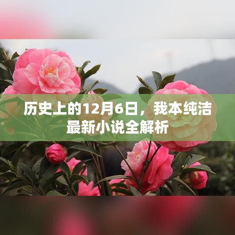 歷史上的12月6日，我本純潔最新小說深度解析