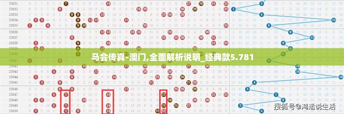 馬會傳真-澳門,全面解析說明_經典款5.781