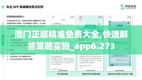 澳門正版精準免費大全,快速解答策略實施_app6.273