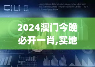 2024澳門(mén)今晚必開(kāi)一肖,實(shí)地評(píng)估數(shù)據(jù)方案_安卓5.254