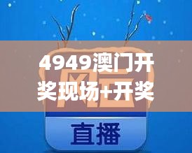 4949澳門開獎(jiǎng)現(xiàn)場(chǎng)+開獎(jiǎng)直播,精細(xì)化說明解析_網(wǎng)頁版17.230