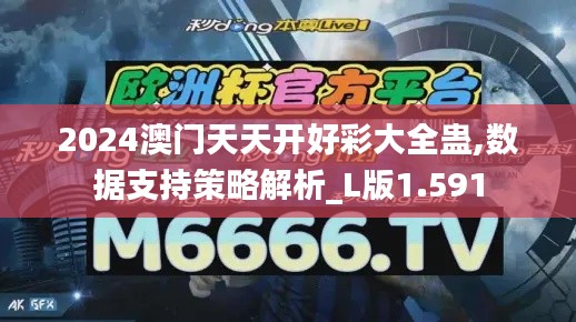 2024澳門天天開好彩大全蠱,數據支持策略解析_L版1.591