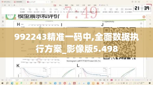 992243精準一碼中,全面數據執行方案_影像版5.498