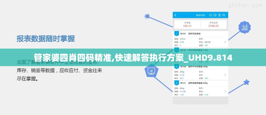 管家婆四肖四碼精準,快速解答執行方案_UHD9.814