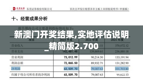 新澳門開獎結果,實地評估說明_精簡版2.700