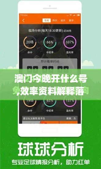 澳門今晚開什么號,效率資料解釋落實_專業版1.881