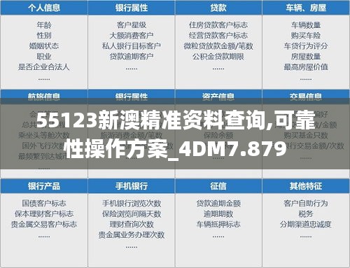55123新澳精準(zhǔn)資料查詢,可靠性操作方案_4DM7.879