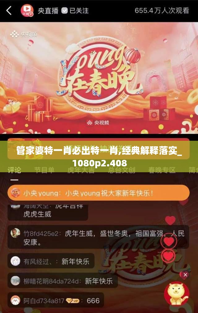 管家婆特一肖必出特一肖,經典解釋落實_1080p2.408