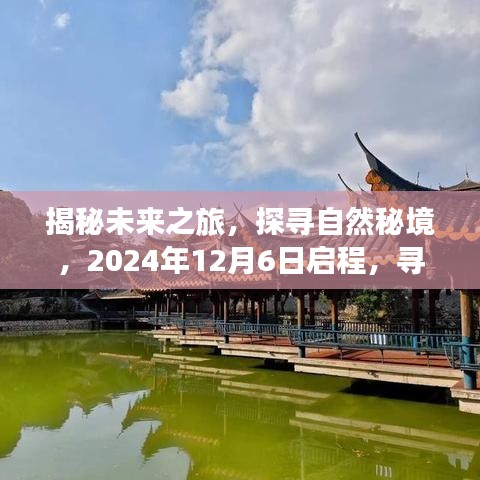 揭秘未來之旅，探尋自然秘境，啟程尋找心靈寧靜與平和的旅程（2024年12月6日）