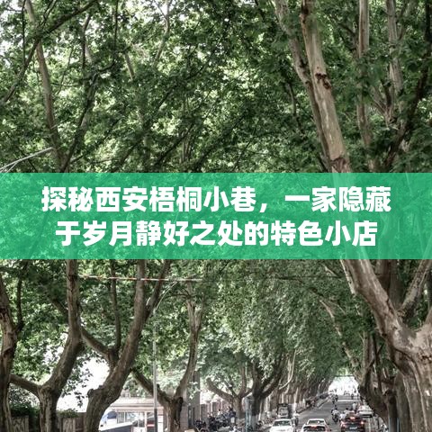 探秘西安梧桐小巷的靜好時光特色小店