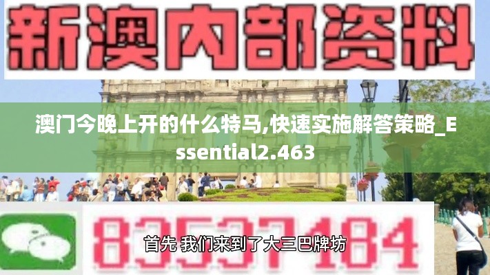 澳門今晚上開的什么特馬,快速實施解答策略_Essential2.463