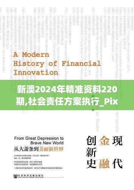 新澳2024年精準資料220期,社會責任方案執行_Pixel10.477
