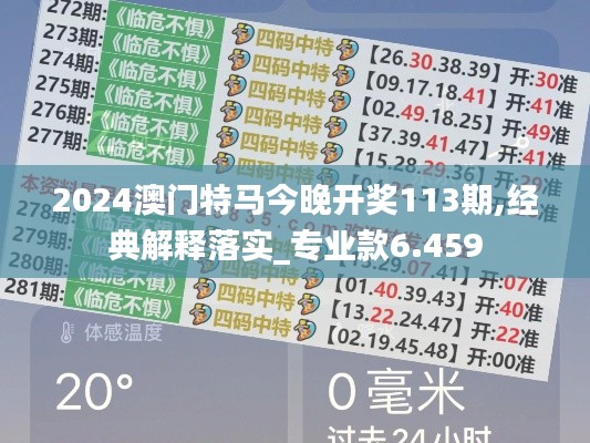 2024澳門特馬今晚開獎113期,經典解釋落實_專業款6.459