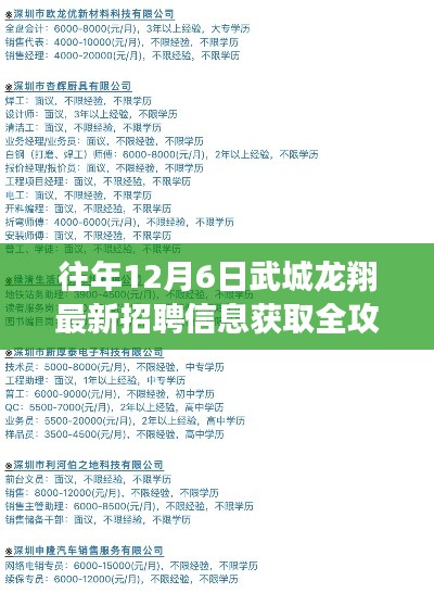 武城龍翔最新招聘全攻略，獲取心儀職位的步驟指南