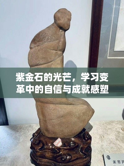 紫金石光芒下的自信與成就感塑造之旅