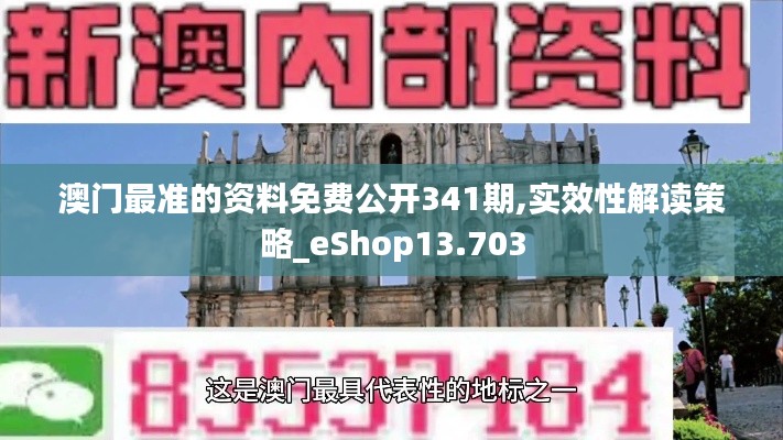 澳門最準的資料免費公開341期,實效性解讀策略_eShop13.703