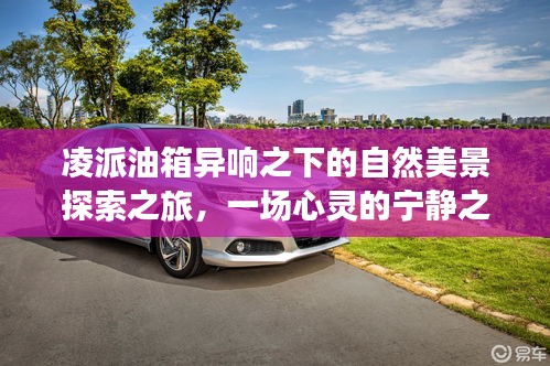 凌派油箱異響背后的自然美景探索，心靈寧靜之旅