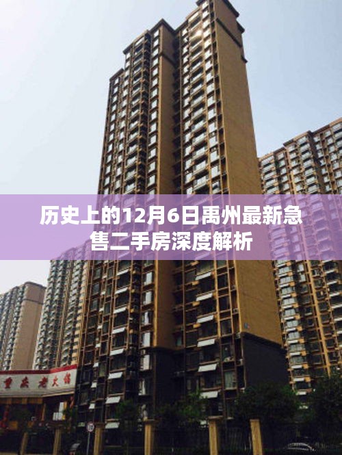 禹州最新急售二手房深度解析，歷史視角下的12月6日市場(chǎng)洞察