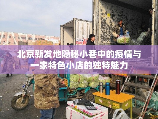北京隱秘小巷的疫情與特色小店的逆襲故事