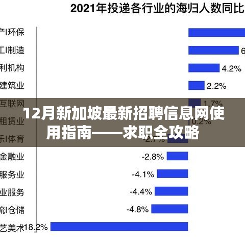 12月新加坡最新招聘信息網使用指南，求職全攻略概覽