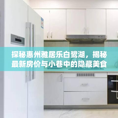探秘惠州雅居樂白鷺湖，最新房價與小巷美食寶藏大揭秘