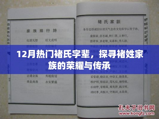 探尋褚氏字輩，榮耀與傳承的十二月熱門話題