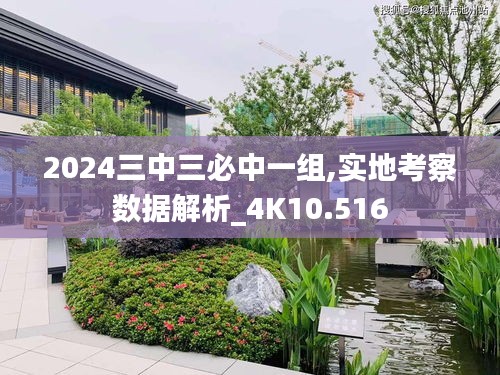 2024三中三必中一組,實地考察數據解析_4K10.516