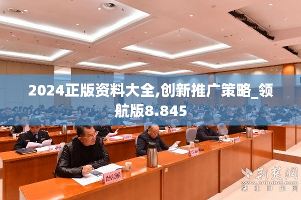 2024正版資料大全,創新推廣策略_領航版8.845